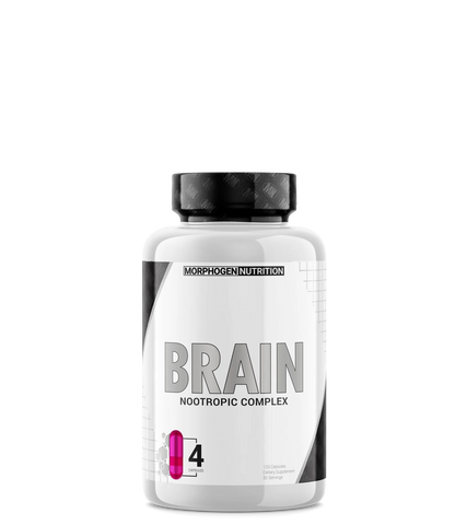 Morphogen Nutrition | Brain